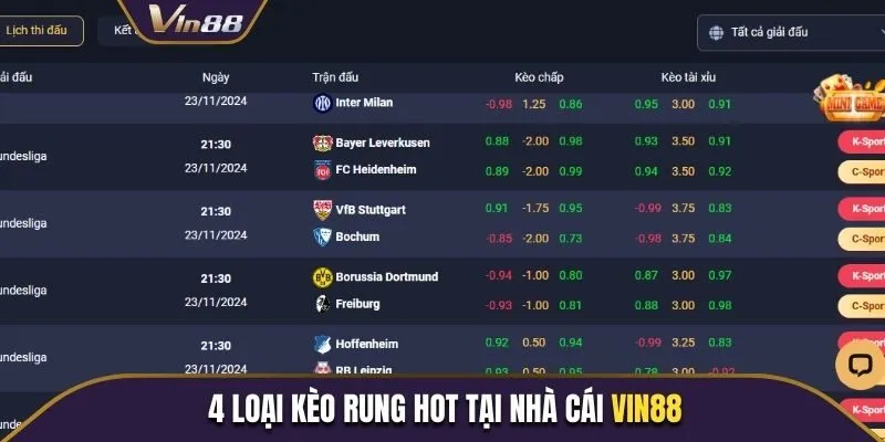 4 loại kèo HOT tại nhà cái Vin88