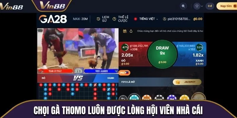Chọi gà Thomo luôn được lòng hội viên nhà cái 