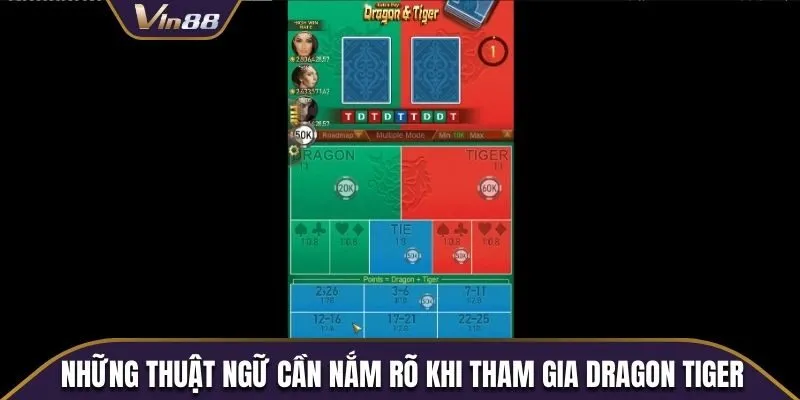 Những thuật ngữ khách hàng cần nắm rõ trước khi tham gia Dragon Tige